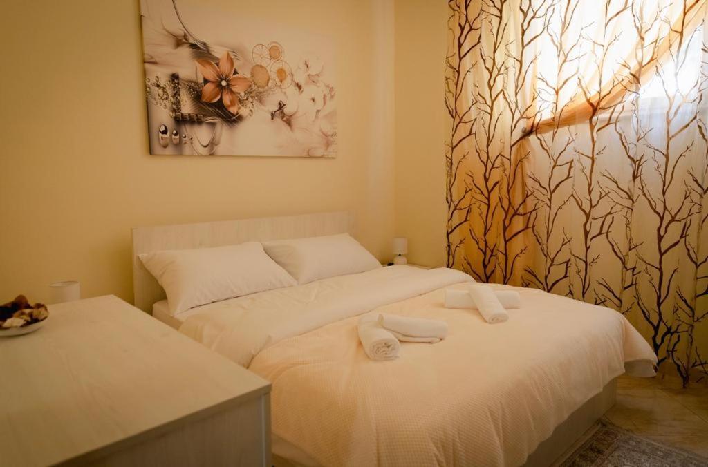 Villa Apartments S&F City Centre Tirana Exteriör bild